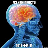 м3 или просто 1011-фм-11