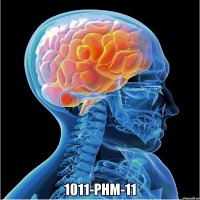  1011-phm-11