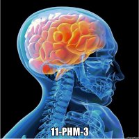  11-phm-3