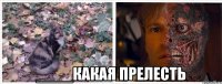  ____какая прелесть