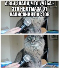 а вы знали, что учёба - это не отмаза от написания постов 