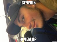 сечешь о чем я?