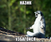 назик узбагойся