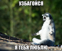 узбагойся я тебя люблю