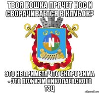 твоя кошка прячет нос и сворачивается в клубок? это не примета что скоро зима - это пох*изм николаевского тэц