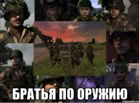  братья по оружию