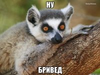 ну бривед