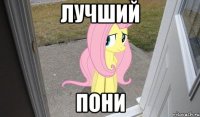 лучший пони