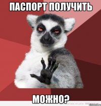 паспорт получить можно?