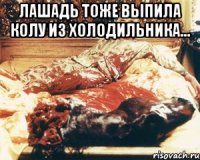 лашадь тоже выпила колу из холодильника... 