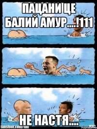 пацани це балий амур....!111 не настя....