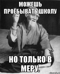 можешь проёбывать школу но только в меру.