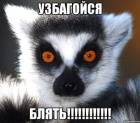 узбагойся блять!!!
