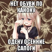нет обуви по канону одену осенние сапоги