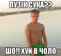 пузік сука?? шо!! хуй в чоло
