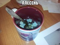 плесень 