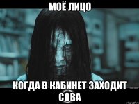 моё лицо когда в кабинет заходит сова