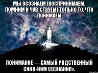 мы осознаем (воспринимаем, помним и чув­ствуем) только то, что понимаем понимание — самый родственный сино­ним сознания».