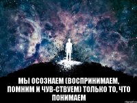  мы осознаем (воспринимаем, помним и чув­ствуем) только то, что понимаем