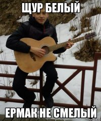 щур белый ермак не смелый