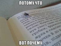 потому что вот почему