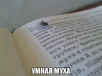  умная муха