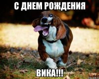 с днем рождения вика!!!