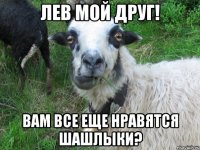лев мой друг! вам все еще нравятся шашлыки?