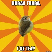 новая глава, где ты?