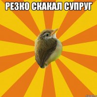 резко скакал супруг 