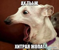 ах ты ж хитрая жопа!