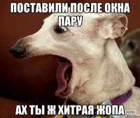 поставили после окна пару ах ты ж хитрая жопа