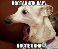 поставили пару после окна
