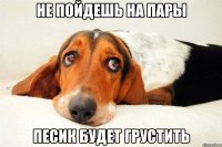 не пойдешь на пары песик будет грустить