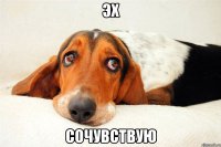 эх сочувствую
