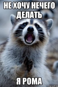 не хочу нечего делать я рома