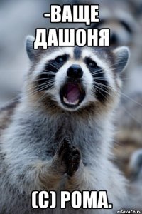 -ваще дашоня (с) рома.