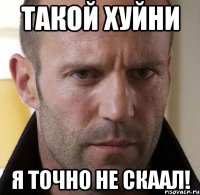 такой хуйни я точно не скаал!