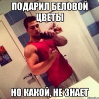подарил беловой цветы но какой, не знает