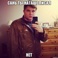 сань ты наташе писал нет