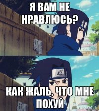 я вам не нравлюсь? как жаль, что мне похуй