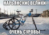 нарьянские велики очень суровы
