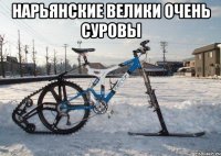 нарьянские велики очень суровы 