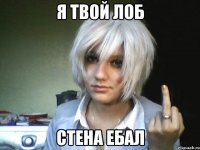 я твой лоб стена ебал