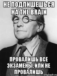 не подпишешься на the brain провалишь все экзамены, или не провалишь
