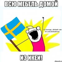 всю мебель домой из икеи!