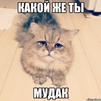 какой же ты мудак