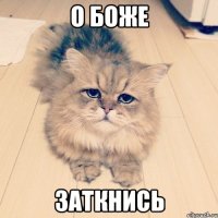 о боже заткнись