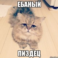 ебаный пиздец