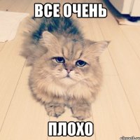 все очень плохо